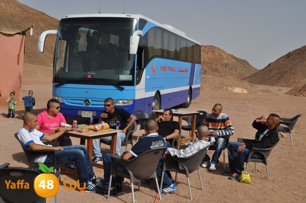 sharmelskhe8634 (10).jpg